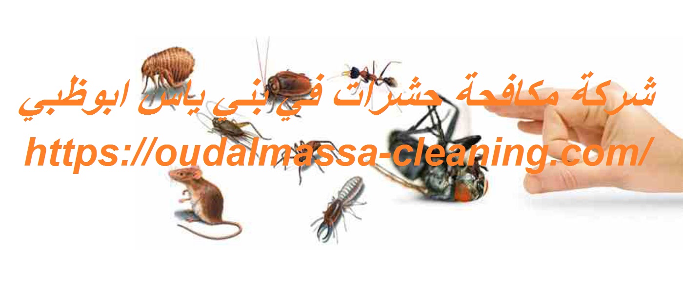 شركة مكافحة حشرات في بني ياس ابوظبي