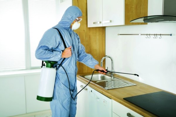 شركة مكافحة الرمة خورفكان