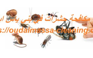 شركة مكافحة حشرات في بني ياس ابوظبي