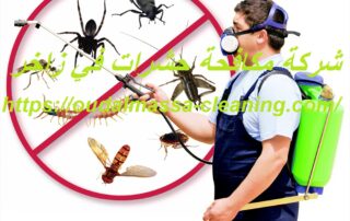شركة مكافحة حشرات في زاخر