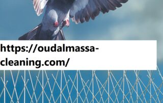 شركة مكافحة الحمام في راس الخيمة