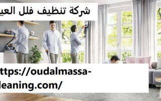 شركة تنظيف فلل العين