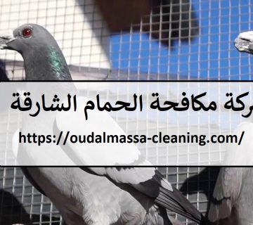 شركة مكافحة الحمام الشارقة