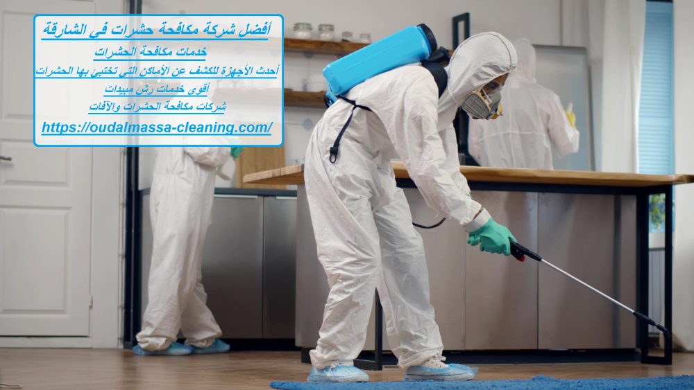 أفضل شركة مكافحة حشرات في الشارقة