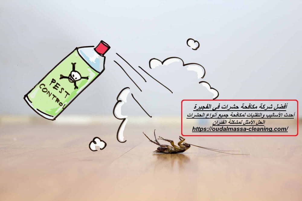 أفضل شركة مكافحة حشرات في الفجيرة