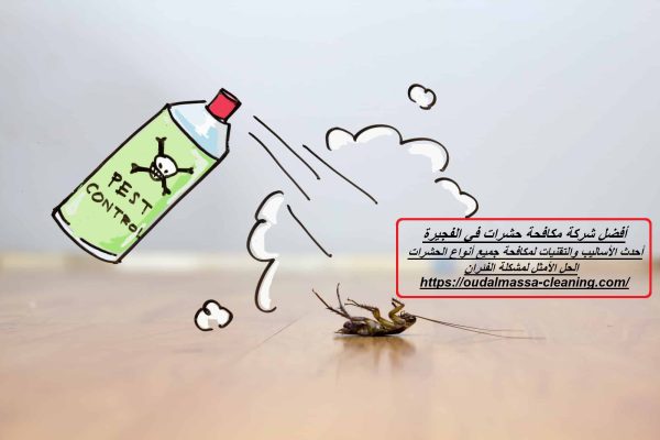 أفضل شركة مكافحة حشرات في الفجيرة