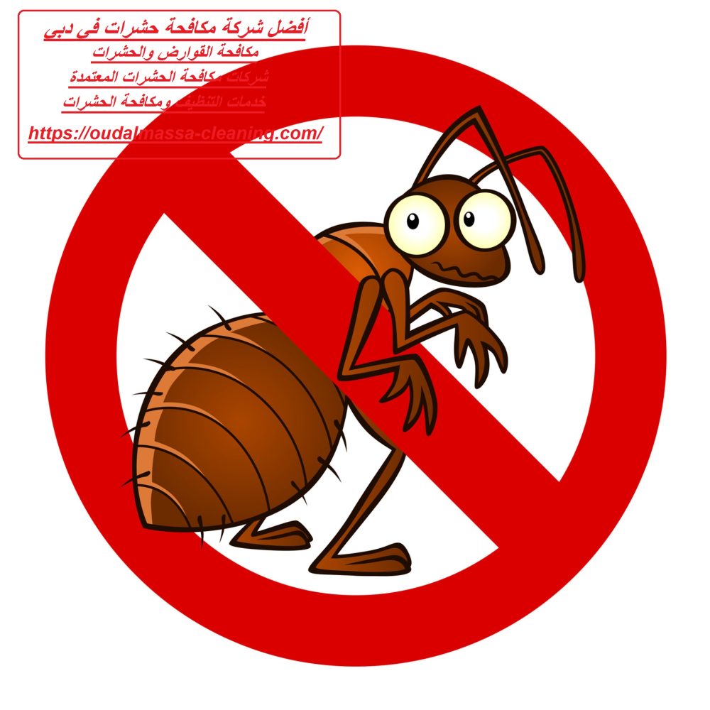 أفضل شركة مكافحة حشرات في دبي