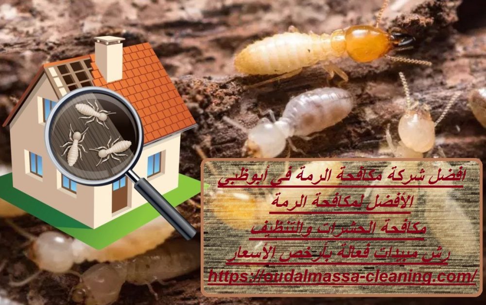 افضل شركة مكافحة الرمة في أبوظبي