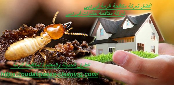 افضل شركة مكافحة الرمة في دبي
