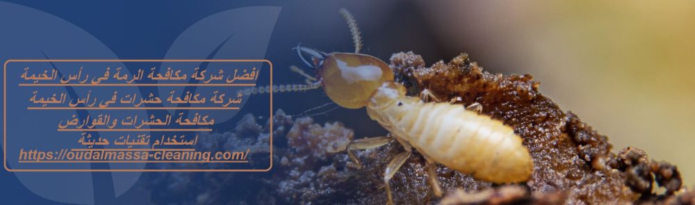 افضل شركة مكافحة الرمة في رأس الخيمة