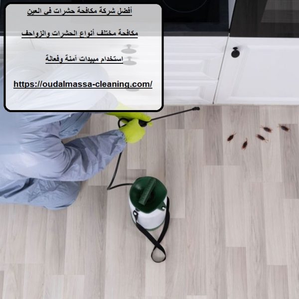 أفضل شركة مكافحة حشرات في العين