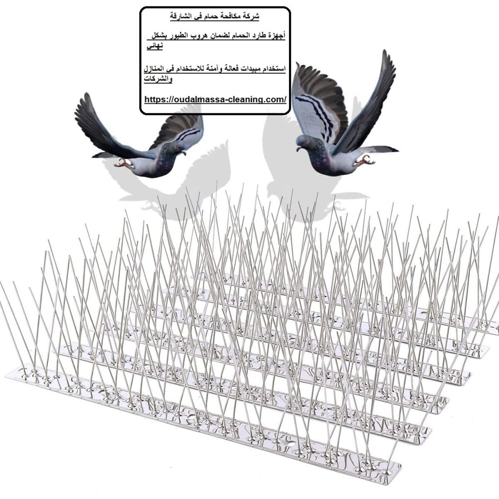 شركة مكافحة حمام في الشارقة