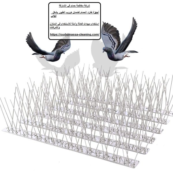 شركة مكافحة حمام في الشارقة