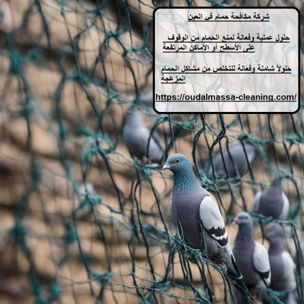 شركة مكافحة حمام في العين