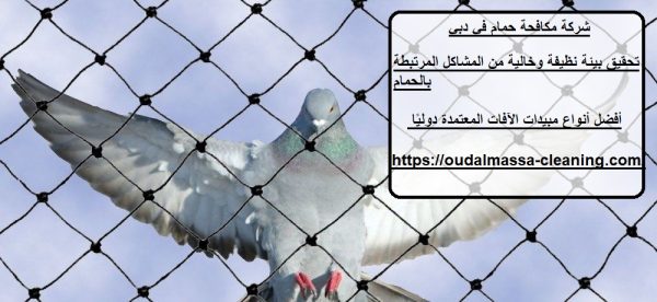 شركة مكافحة حمام في دبي