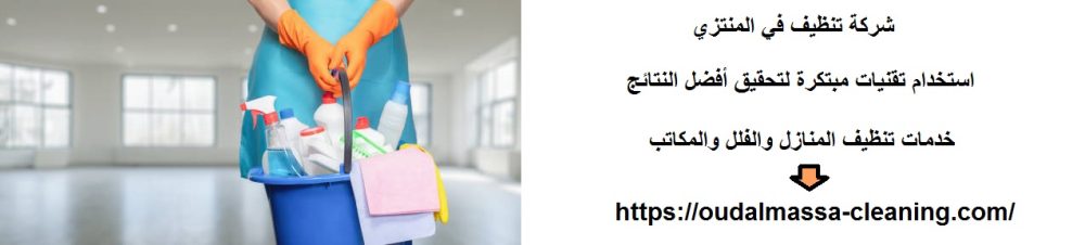 شركة تنظيف في المنتزي