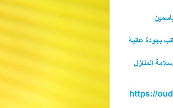 شركة تنظيف في الياسمين