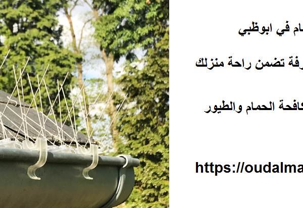 شركة مكافحة الحمام في ابوظبي