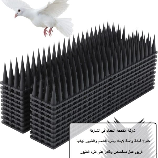 شركة مكافحة الحمام في الشارقة