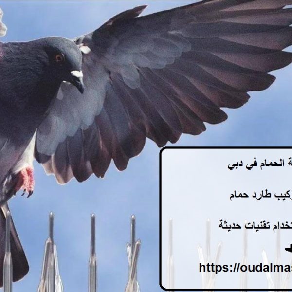 شركة مكافحة الحمام في دبي