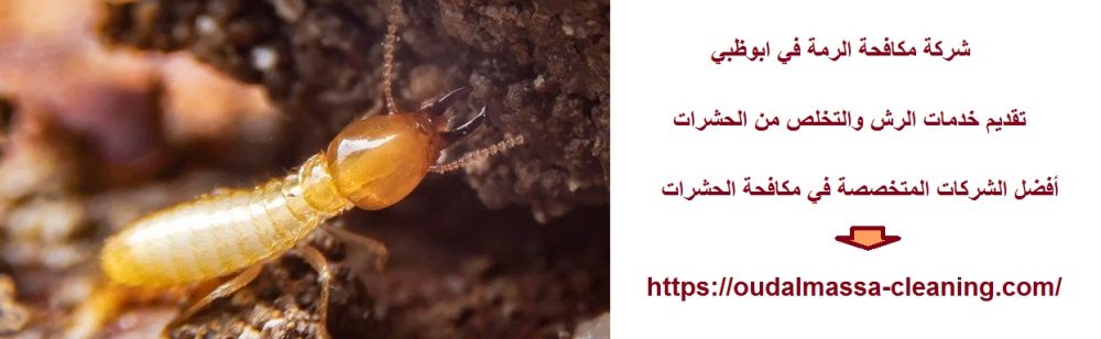 شركة مكافحة الرمة في ابوظبي