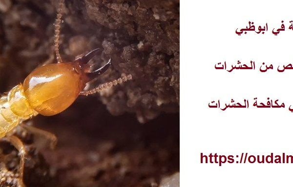 شركة مكافحة الرمة في ابوظبي