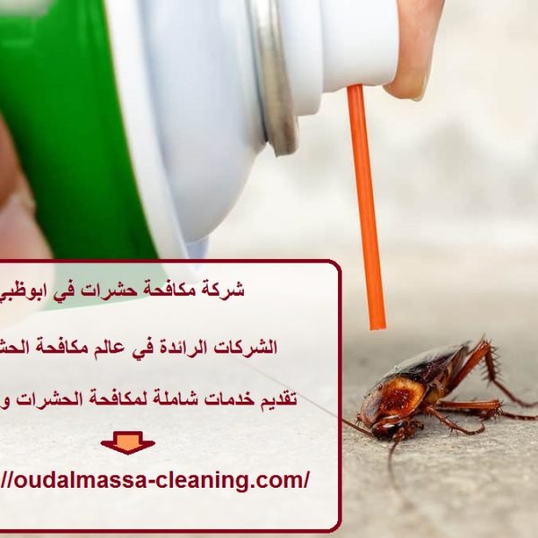 شركة مكافحة حشرات في ابوظبي