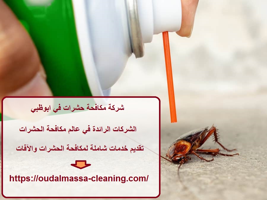 شركة مكافحة حشرات في ابوظبي