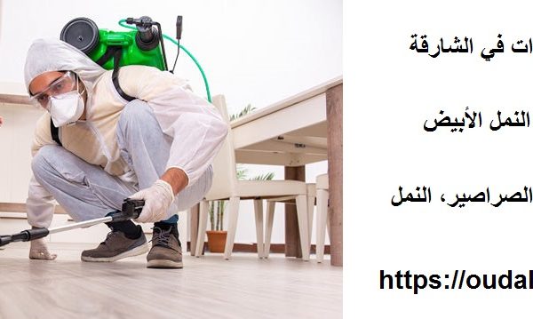 شركة مكافحة حشرات في الشارقة