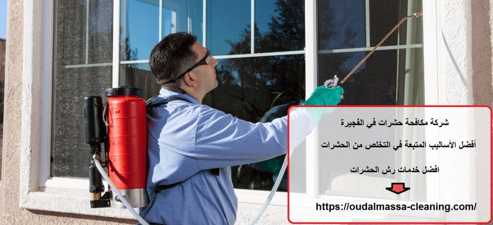 شركة مكافحة حشرات في الفجيرة