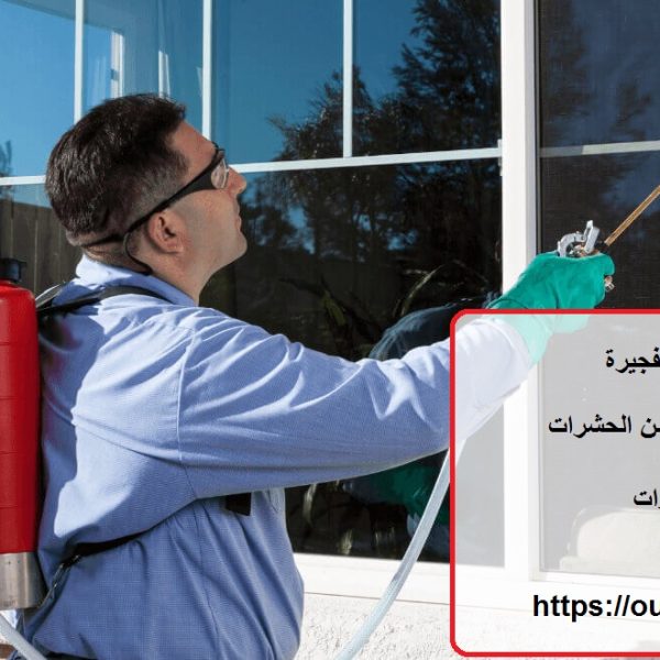 شركة مكافحة حشرات في الفجيرة