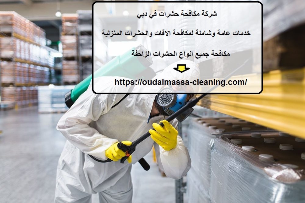 شركة مكافحة حشرات في دبي