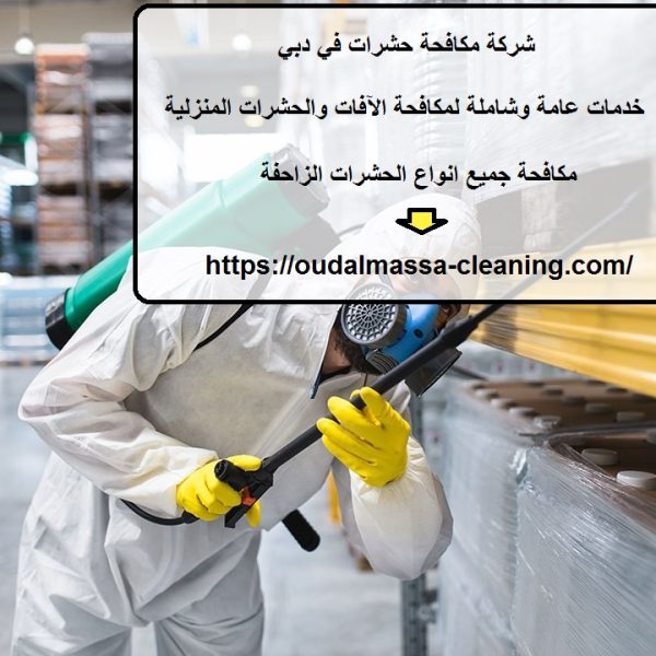 شركة مكافحة حشرات في دبي