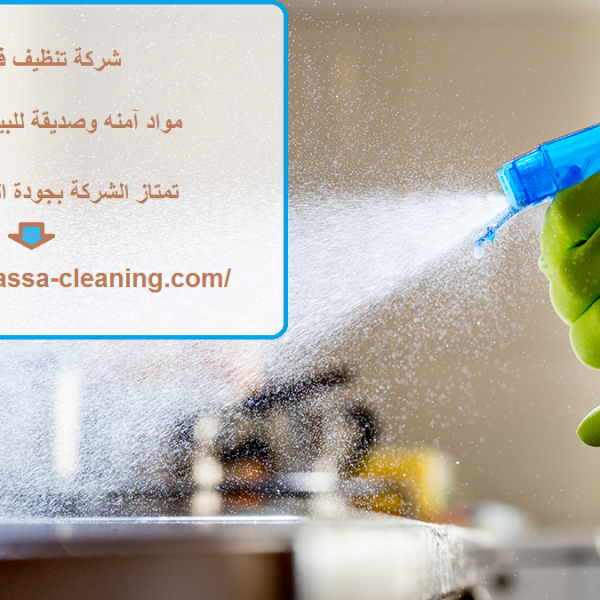 شركة تنظيف في العين