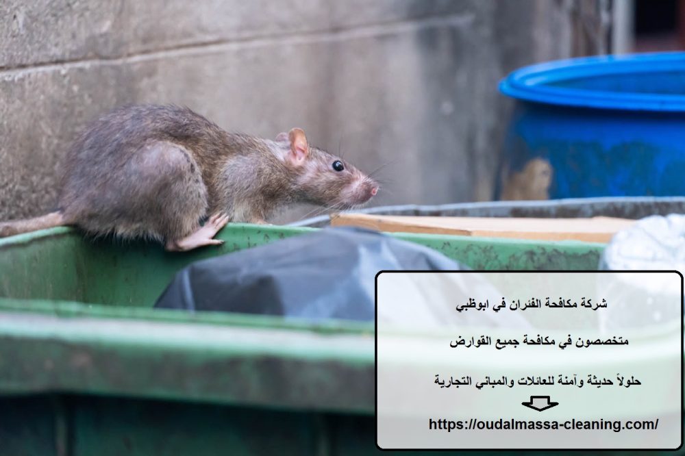 شركة مكافحة الفئران في ابوظبي