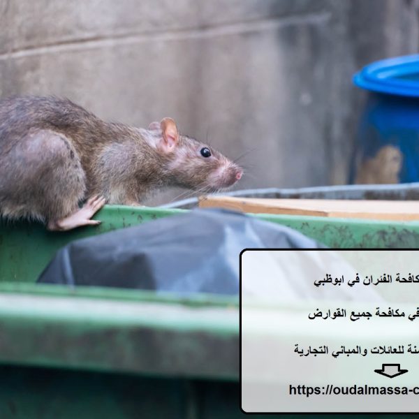 شركة مكافحة الفئران في ابوظبي