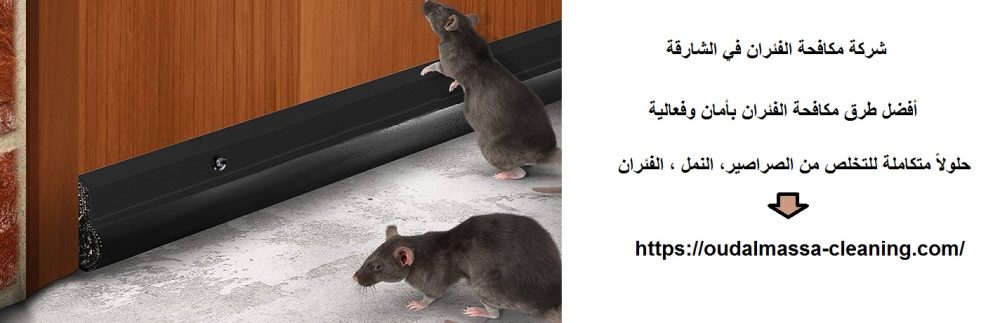 شركة مكافحة الفئران في الشارقة
