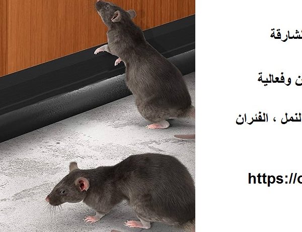 شركة مكافحة الفئران في الشارقة