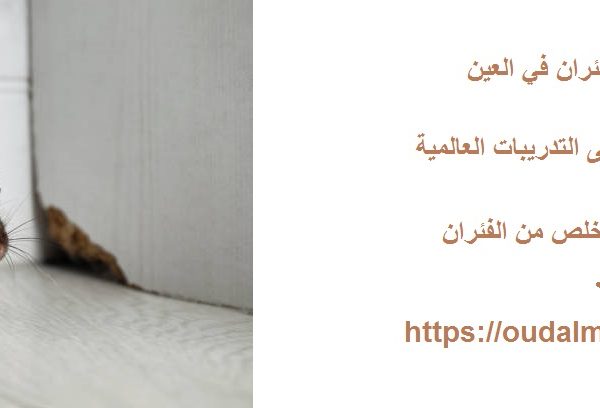 شركة مكافحة الفئران في العين