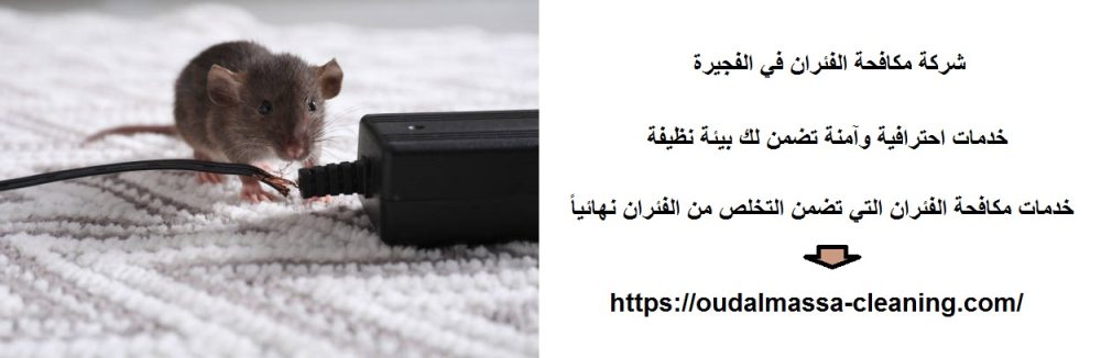 شركة مكافحة الفئران في الفجيرة