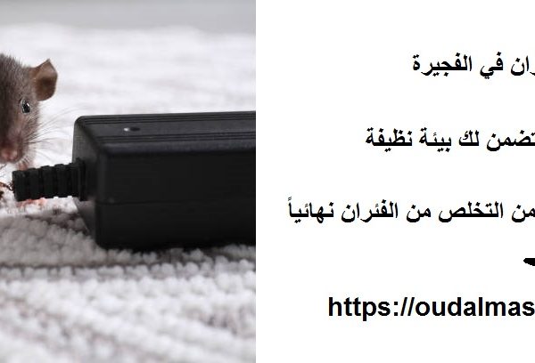 شركة مكافحة الفئران في الفجيرة