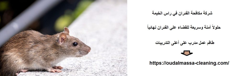 شركة مكافحة الفئران في راس الخيمة