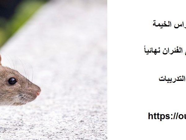 شركة مكافحة الفئران في راس الخيمة