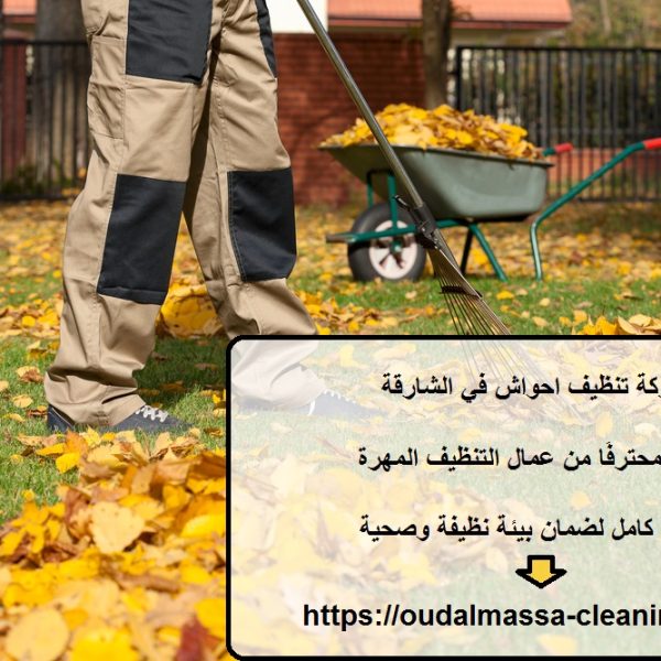 شركة تنظيف احواش في الشارقة