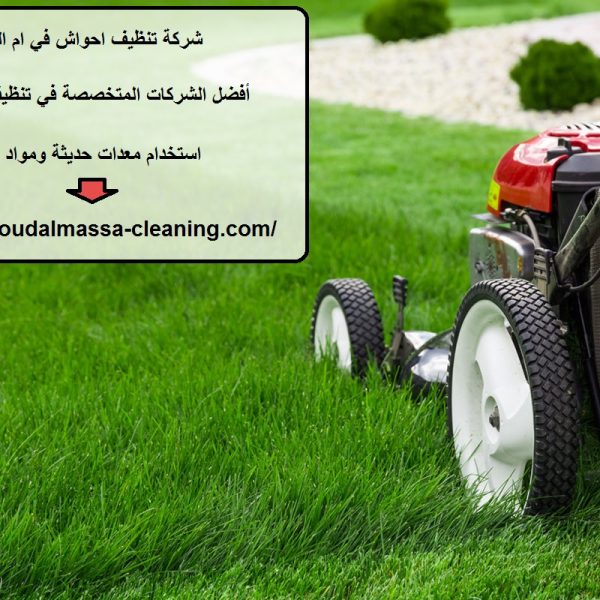 شركة تنظيف احواش في ام القيوين