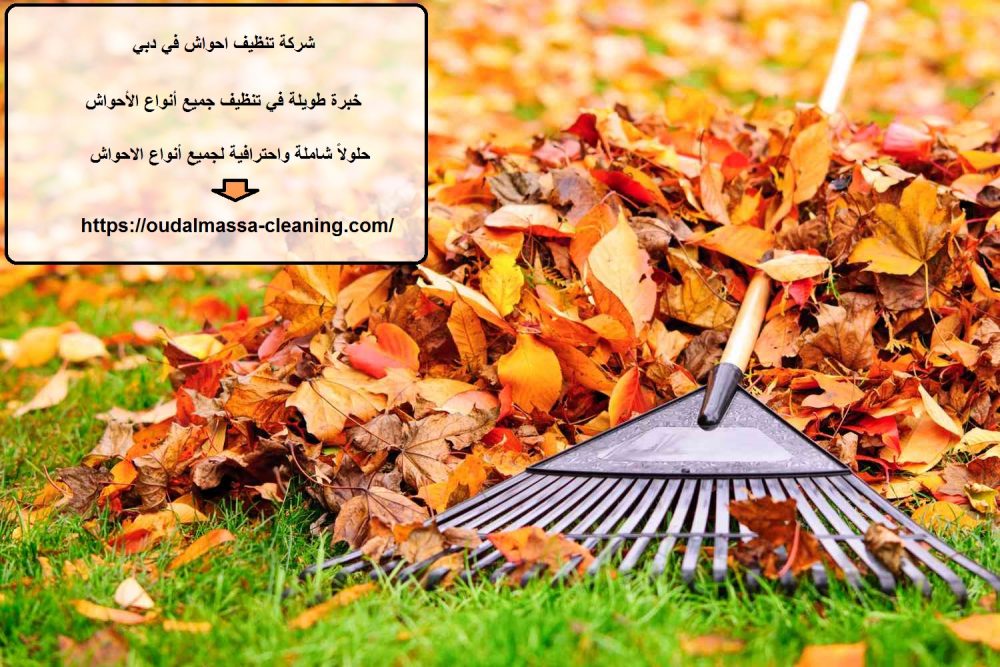 شركة تنظيف احواش في دبي