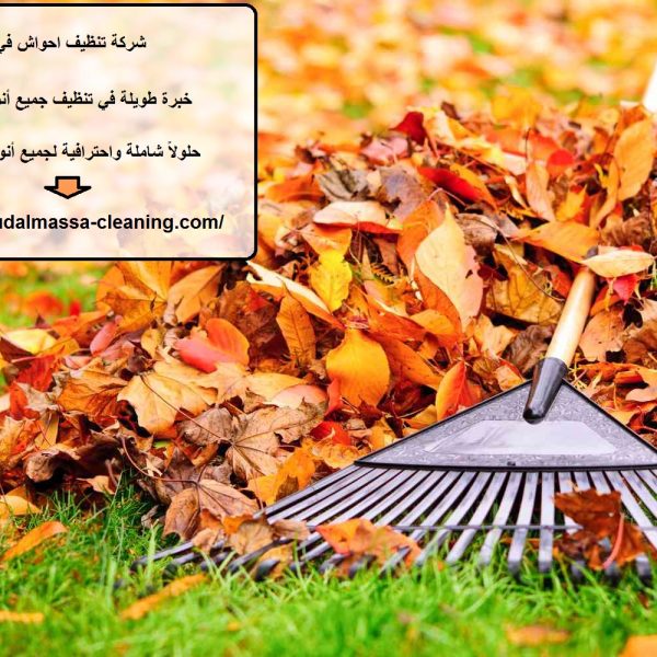 شركة تنظيف احواش في دبي