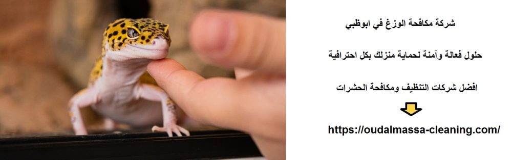 شركة مكافحة الوزغ في ابوظبي