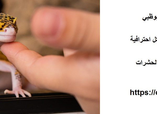 شركة مكافحة الوزغ في ابوظبي