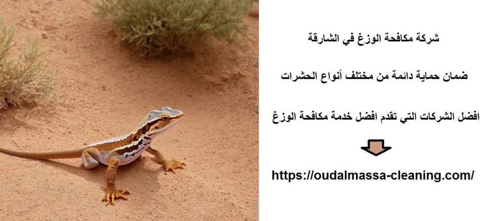 شركة مكافحة الوزغ في الشارقة